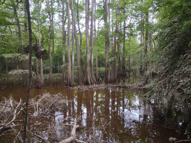 Where Nine Ecosystems Meet In One Place Where Nine Ecosystems Meet In One Place