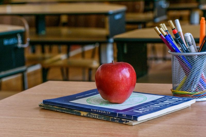 Where Surplus Becomes Somebody's Favorite Lesson