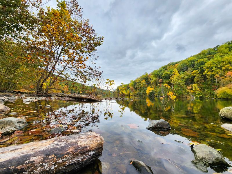 Where Two Forks of the Moormans River Come Together Where Two Forks of the Moormans River Come Together