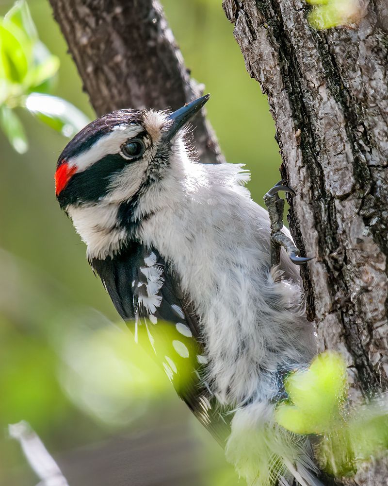 Where the Air Sings, Over 200 Bird Species Call This Place Home