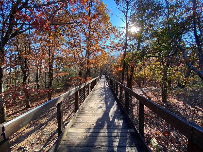 Where the Trees Part and Alabama Stretches Out Forever Where the Trees Part and Alabama Stretches Out Forever