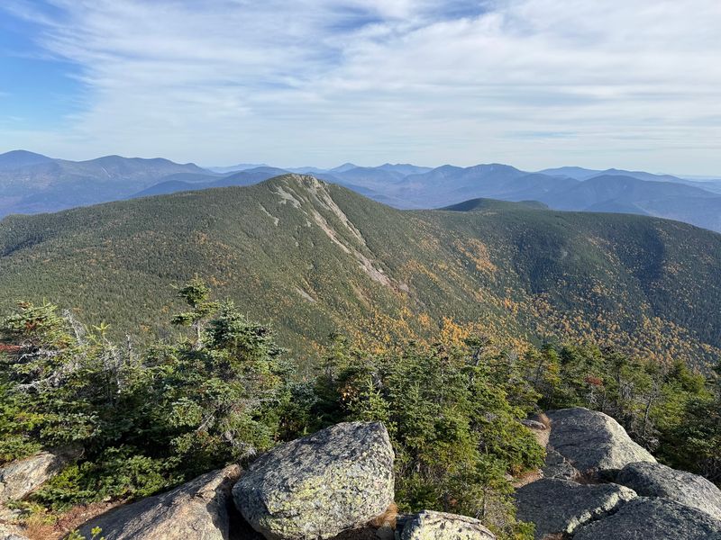 White Mountains Region, Bear Country in Its Purest Form White Mountains Region, Bear Country in Its Purest Form