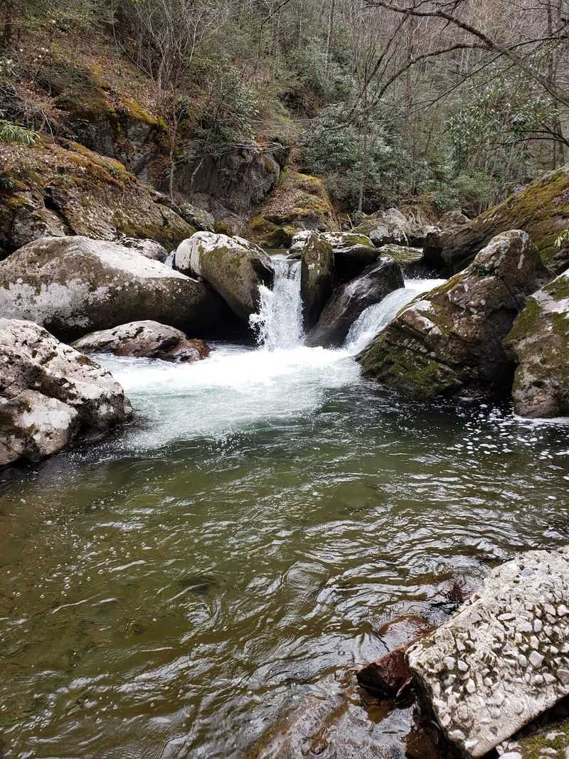 Whitetop Laurel Creek, a Natural Marvel Whitetop Laurel Creek, a Natural Marvel