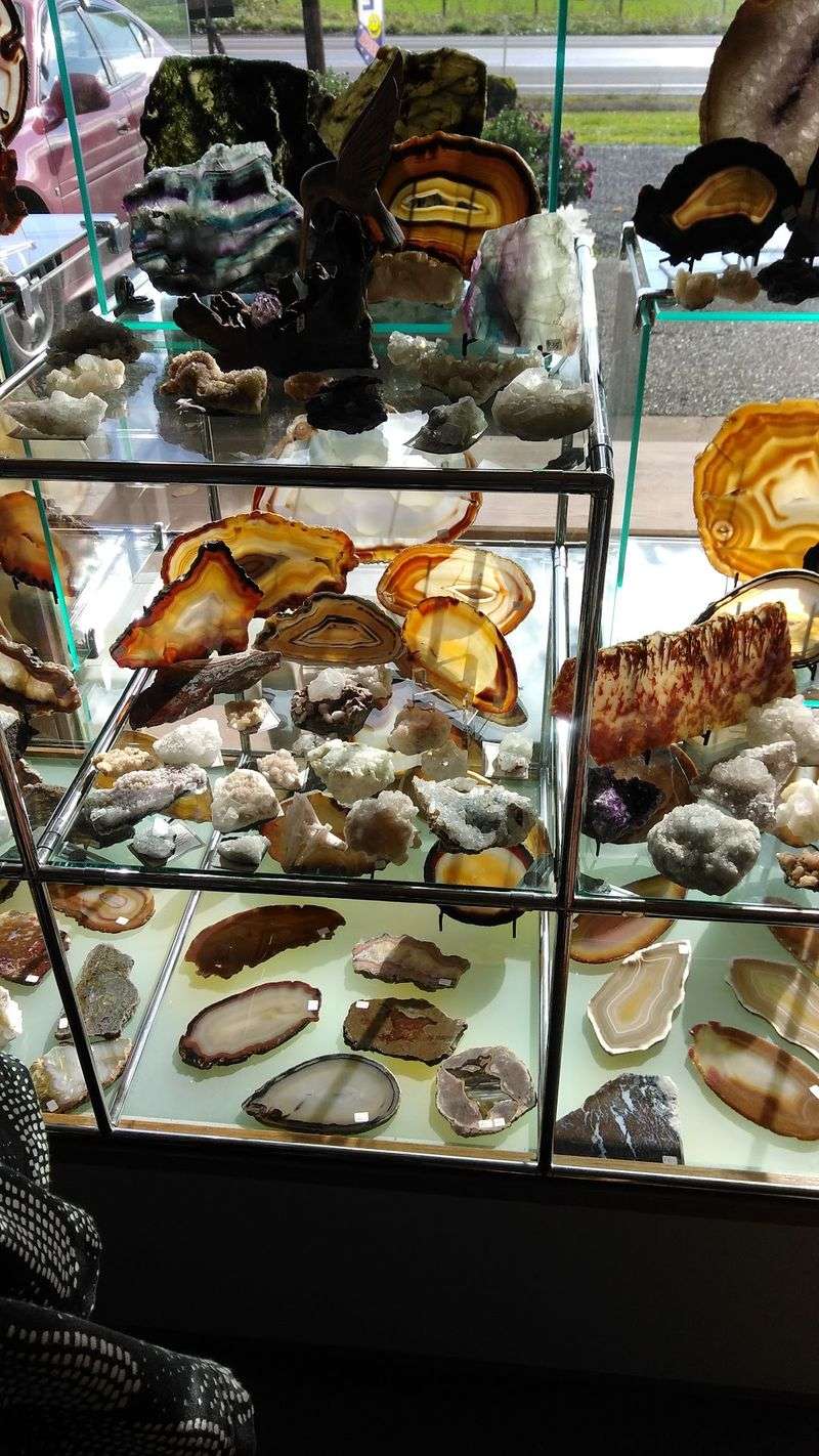 Why New Collectors Keep Coming Back