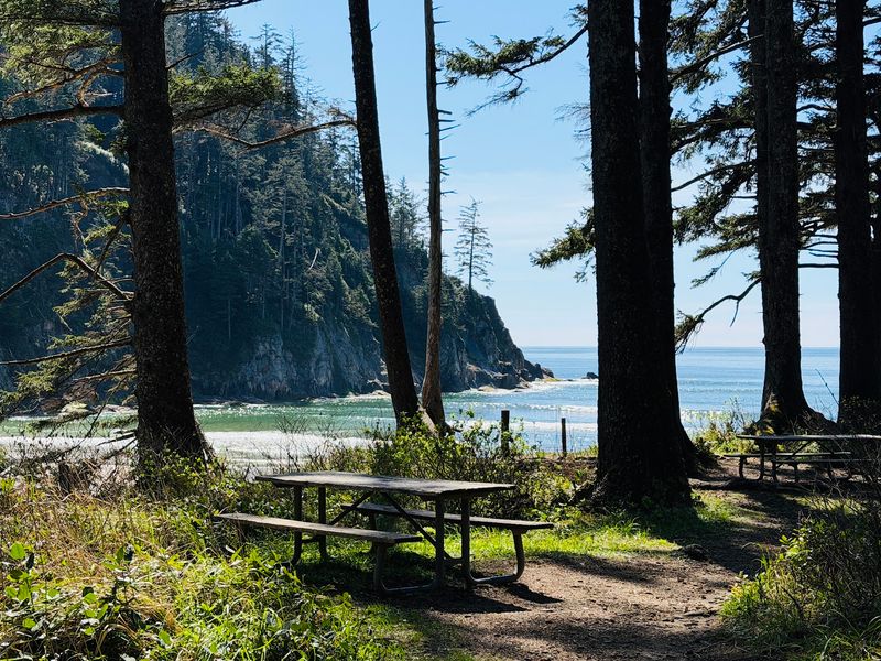 Why Short Sand Beach Deserves a Spot on Your Oregon Coast Itinerary
