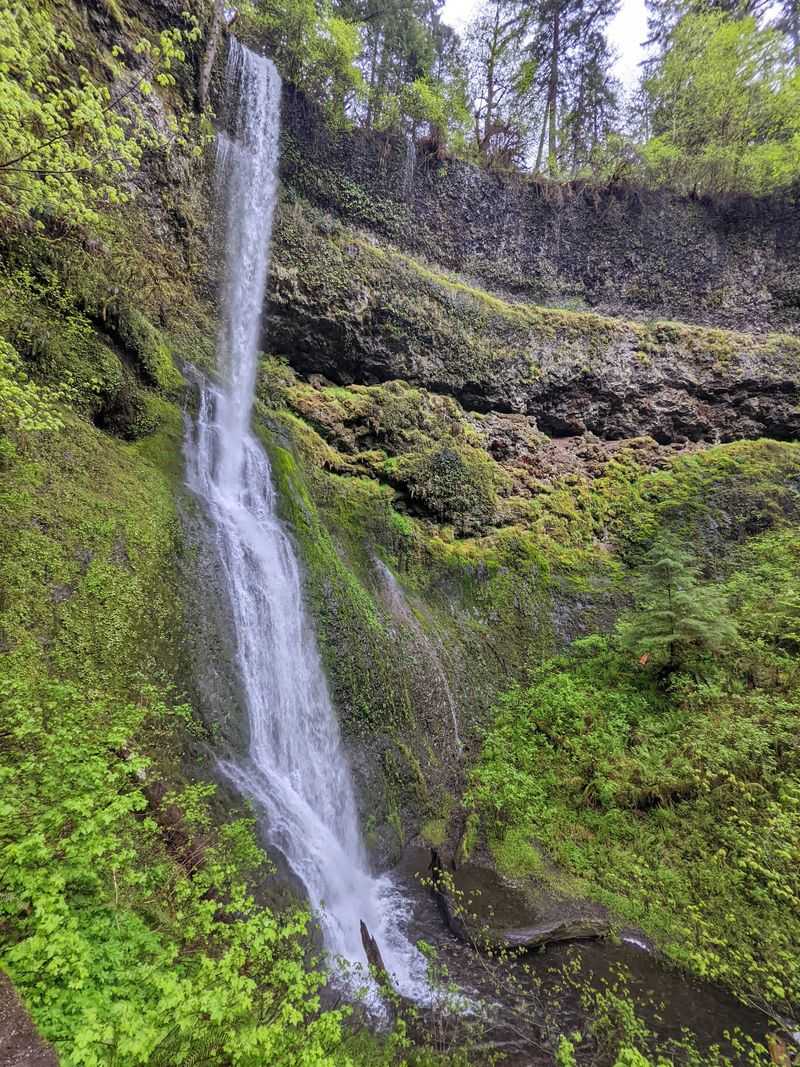 Why Silver Falls Keeps Pulling People Back Why Silver Falls Keeps Pulling People Back