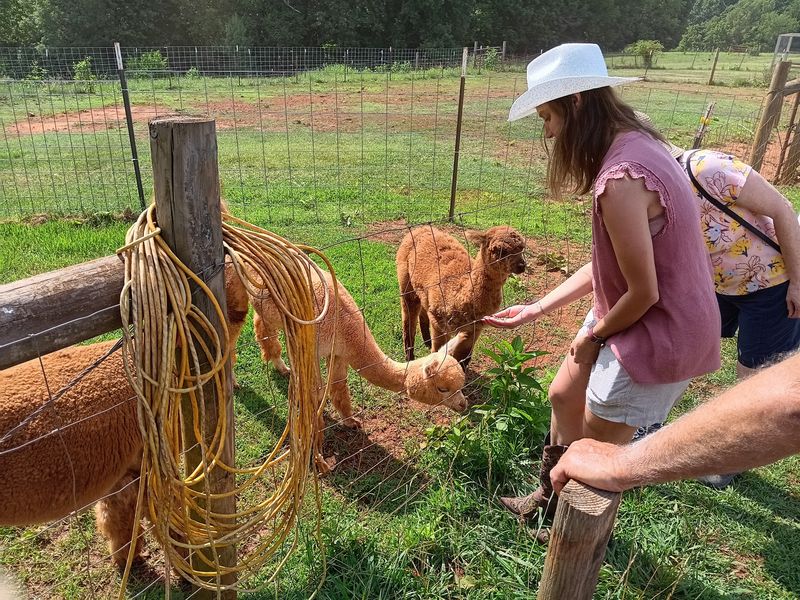 Why This Virginia Farm Deserves a Spot on Every Road Trip List