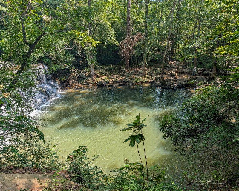 Wildlife and Rare Species Call This Creek Home Wildlife and Rare Species Call This Creek Home