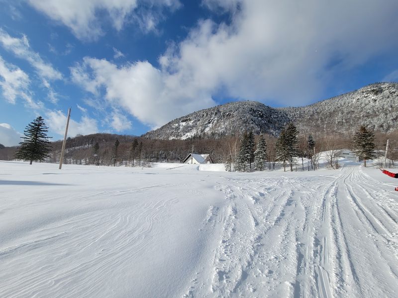 Winter Dreams and the Ski Area Sleeping Under Snow Winter Dreams and the Ski Area Sleeping Under Snow