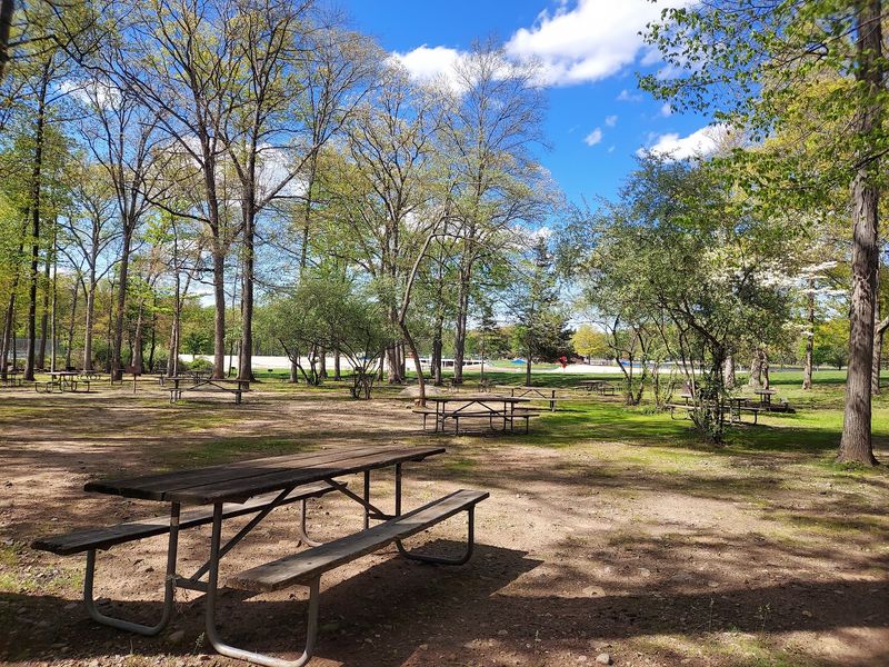 Wooded Picnic Areas Built for Real Relaxation Wooded Picnic Areas Built for Real Relaxation
