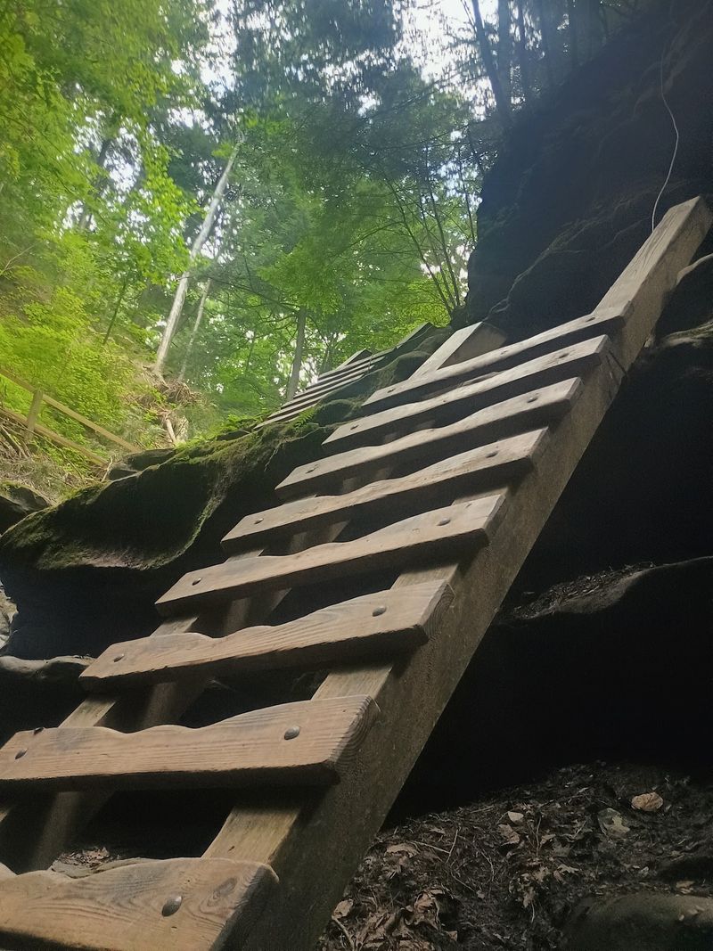 Wooden Ladders Are Part Of The Trail, Not A Detour