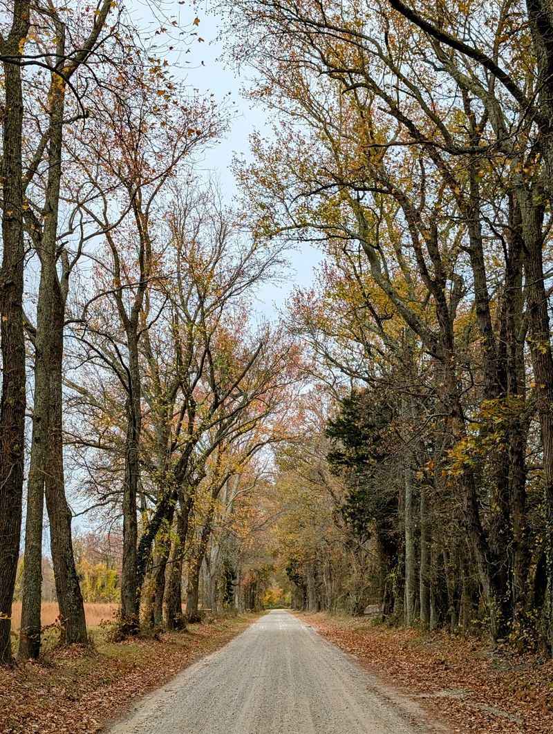 Wye Island Natural Resources Management Area