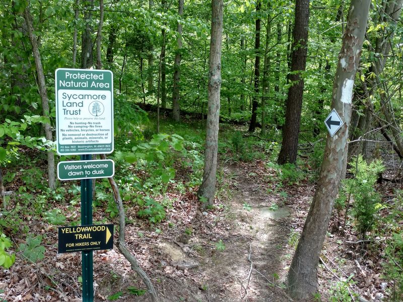 Yellowwood Trail Climbs The Bluffs At Trevlac Yellowwood Trail Climbs The Bluffs At Trevlac