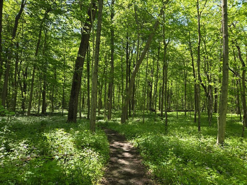 You Can Take the Day Slowly Here You Can Take the Day Slowly Here