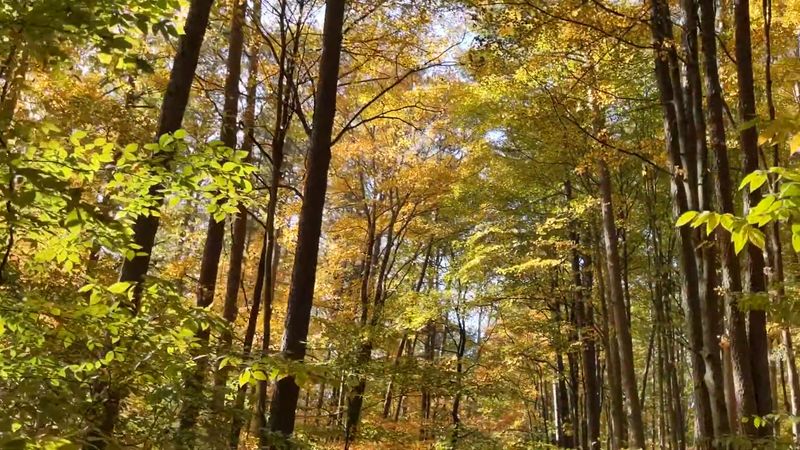 You Definitely Need To See This Place, Hoosier National Forest on State Road 446 You Definitely Need To See This Place, Hoosier National Forest on State Road 446