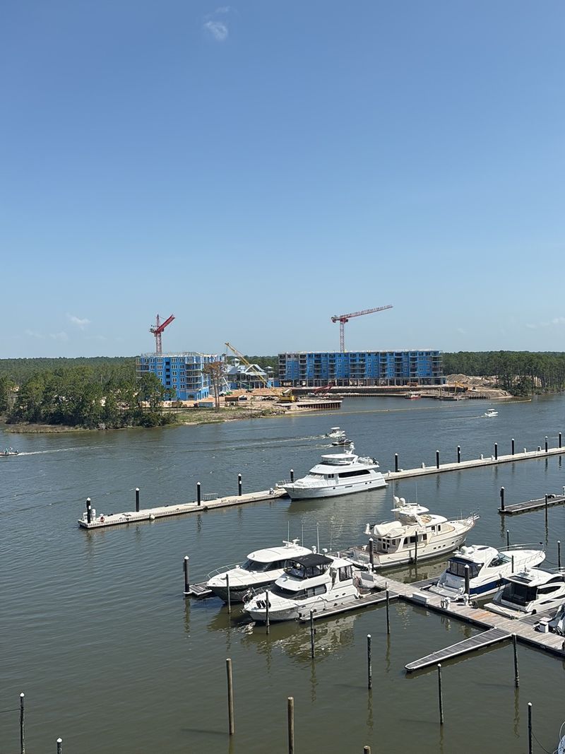 You Have to See This View from The Wharf Ziplines in Orange Beach You Have to See This View from The Wharf Ziplines in Orange Beach