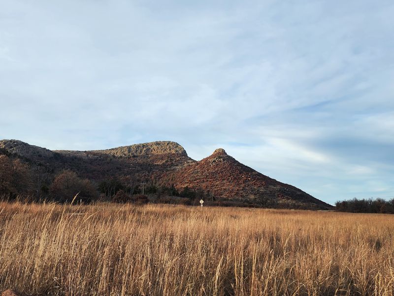 You Might Share The Area With Longhorns And Elk You Might Share The Area With Longhorns And Elk