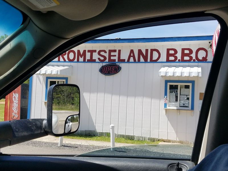 You Will Want To Find Promise Land Bar-B-Que in Woodstock