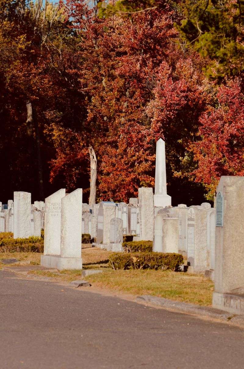 You Wouldn't Believe Who's Buried Here You Wouldn't Believe Who's Buried Here