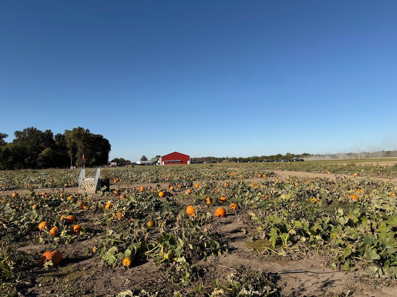 Your Perfect Pumpkin Is Waiting Out There