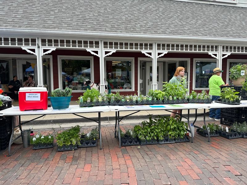 Zionsville Farmers Market, Zionsville
