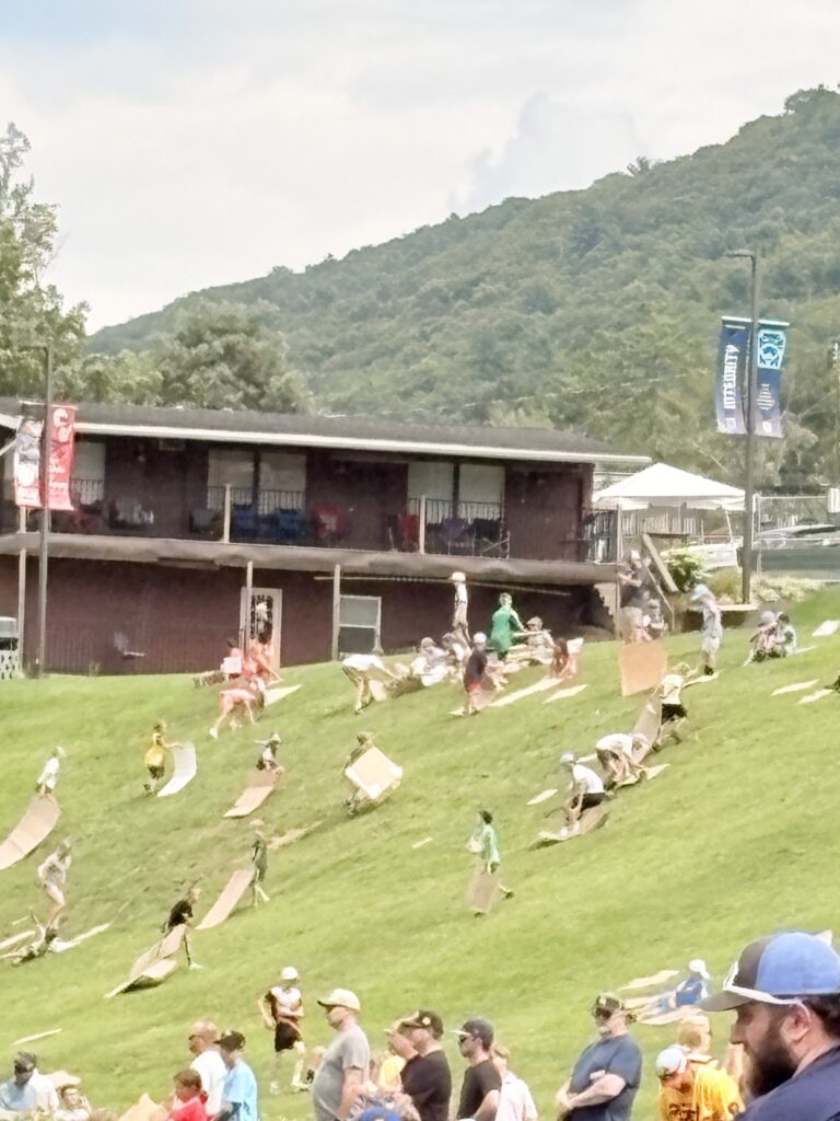 Restless siblings slide down Lamade Hill during the Little League World Series games in Williamsport.
