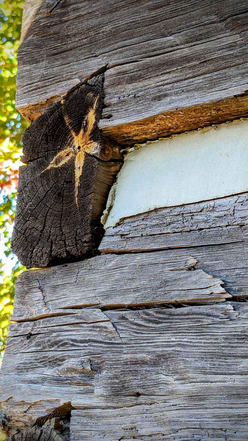 103 Buildings, One Log at a Time 103 Buildings, One Log at a Time