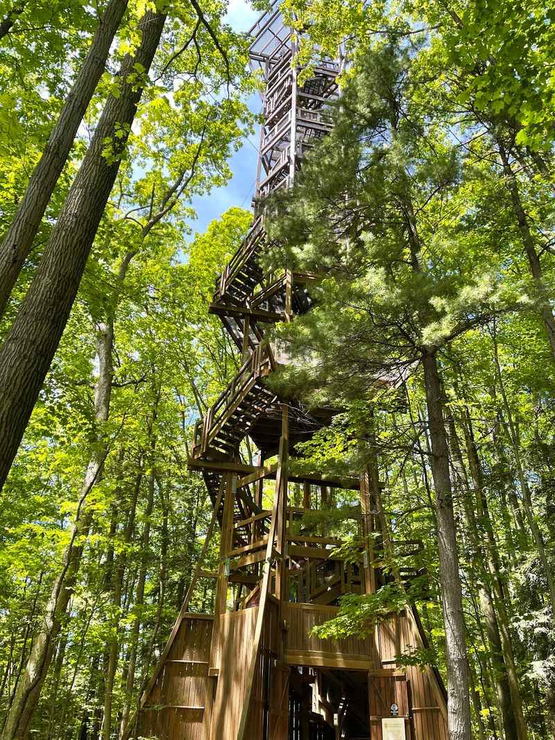 202 Steps Up the Emergent Tower