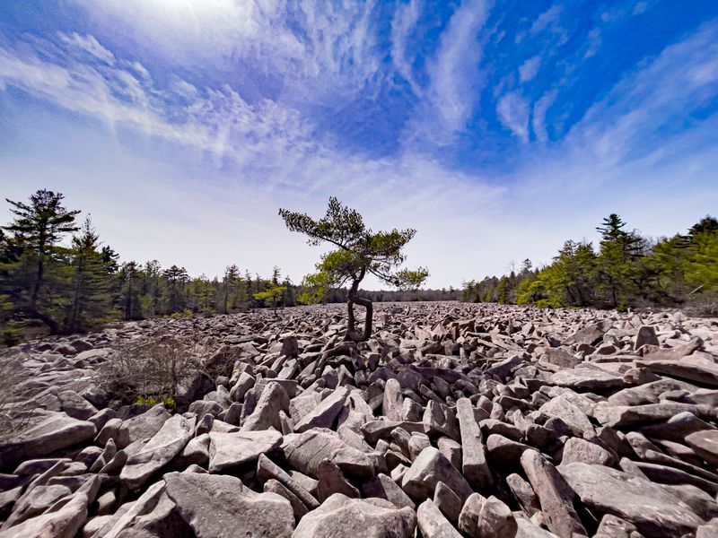 A 16-Acre Sea of Stone That Stops You Mid-Sentence A 16-Acre Sea of Stone That Stops You Mid-Sentence