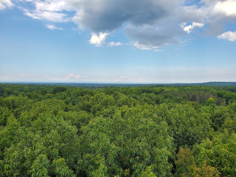 A 3,600-Acre Green Haven on Sperry Road