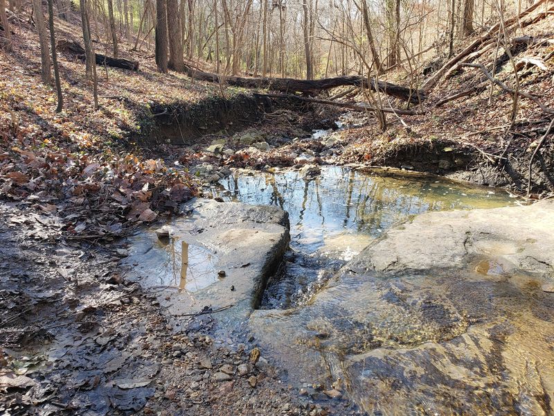 A Babbling Brook And A Surprise Waterfall A Babbling Brook And A Surprise Waterfall