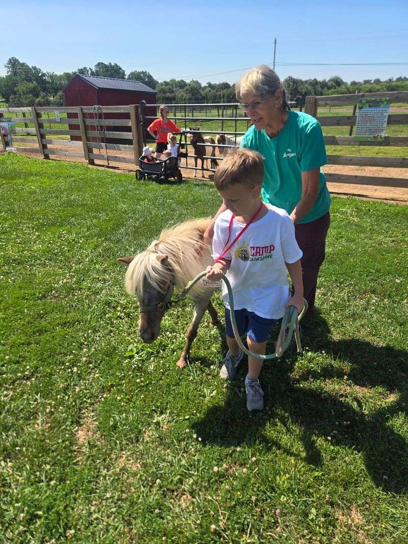 A Barnyard Full of Friendly Animals