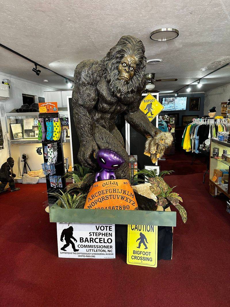 A Bigfoot Room With Local Woods on Its Mind