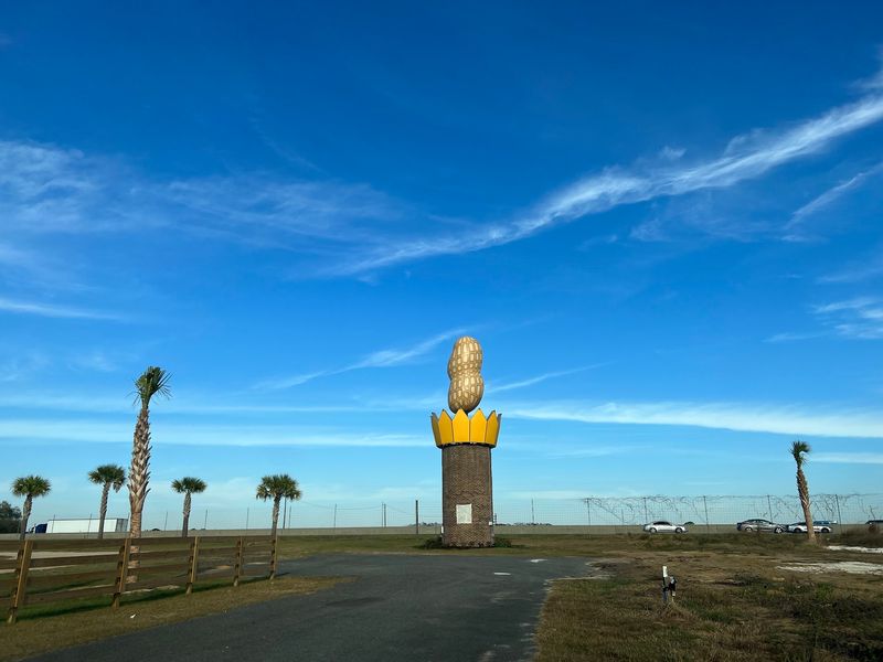 A Bigger, Tougher Peanut Returns in 2023 A Bigger, Tougher Peanut Returns in 2023