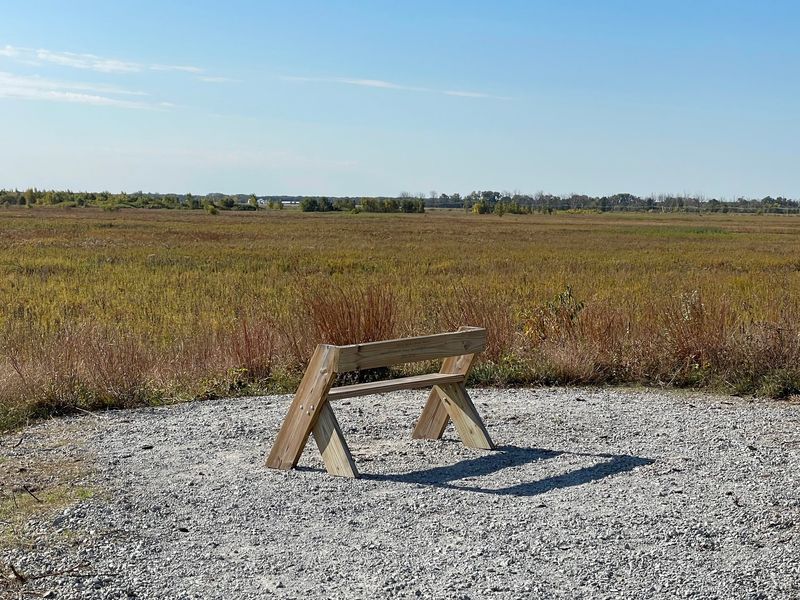 A Birder's Paradise Hiding in Plain Sight A Birder's Paradise Hiding in Plain Sight
