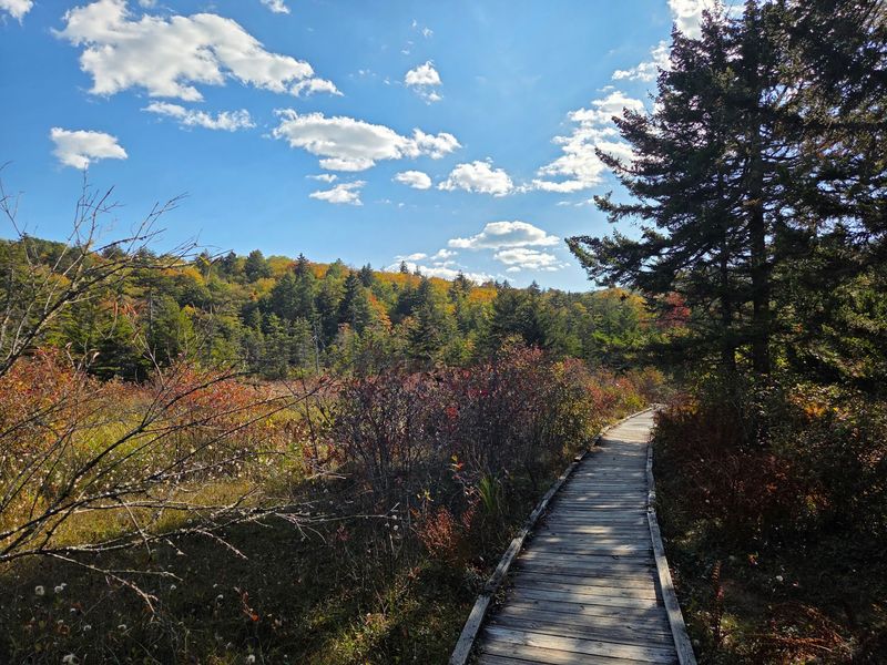 A Birdwatcher's Quiet Paradise A Birdwatcher's Quiet Paradise