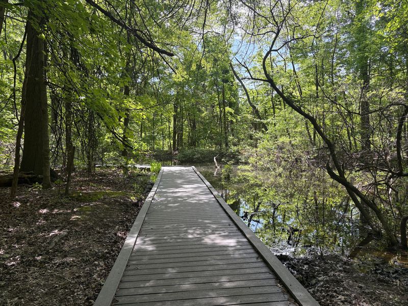 A Birdwatcher's Year-Round Paradise