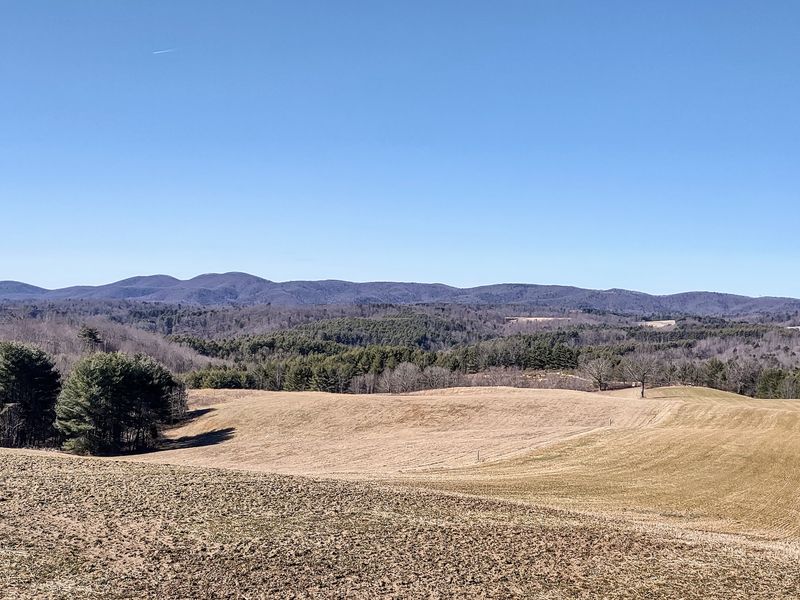 A Blue Ridge Parkway Stretch Built for Slow Driving A Blue Ridge Parkway Stretch Built for Slow Driving