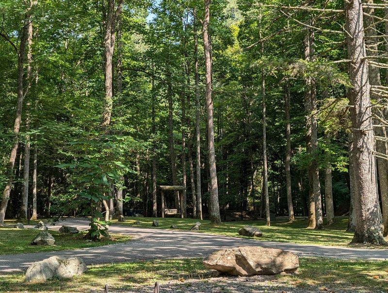 A Brand New Disc Golf Course in the Woods
