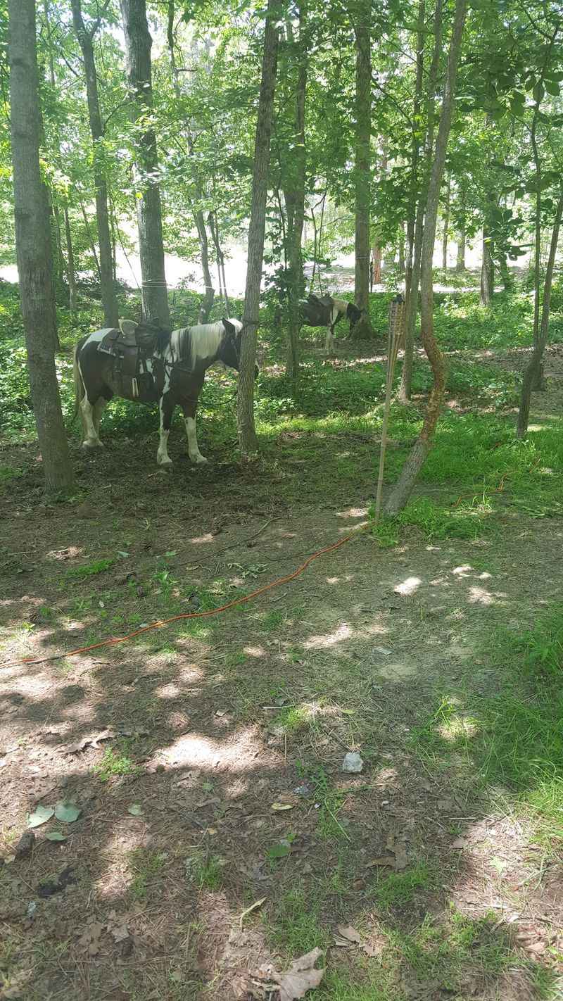 A Campground Kept Good by the People Who Use It