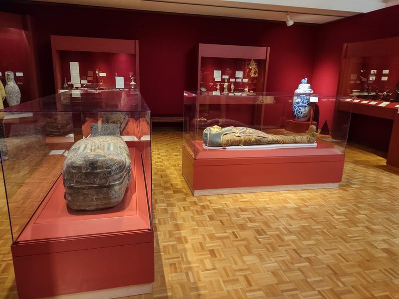 A Campus Museum Hiding World Treasures
