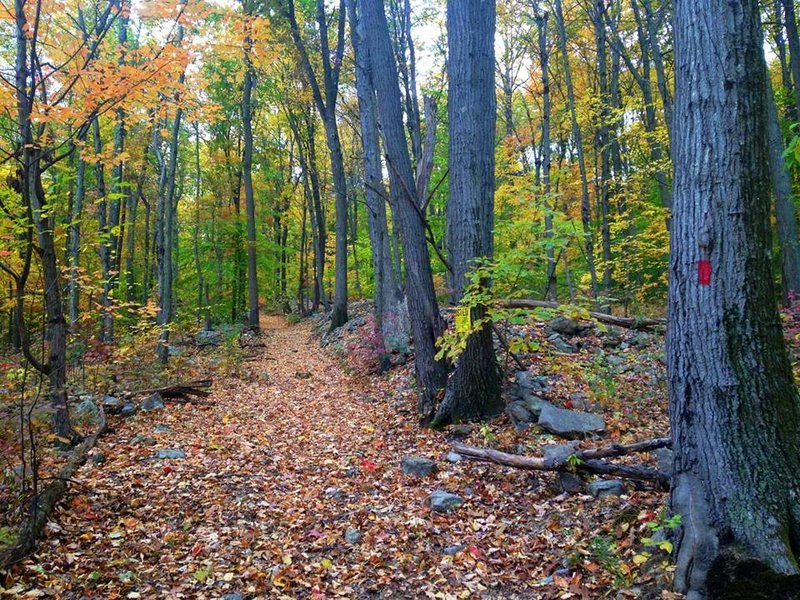 A Climb Toward Pohatcong Mountain For The Ambitious