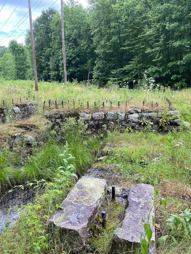 A Company Town That Rose in the Forest