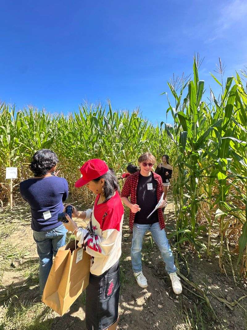 A Corn Maze Built For Show-Offs A Corn Maze Built For Show-Offs