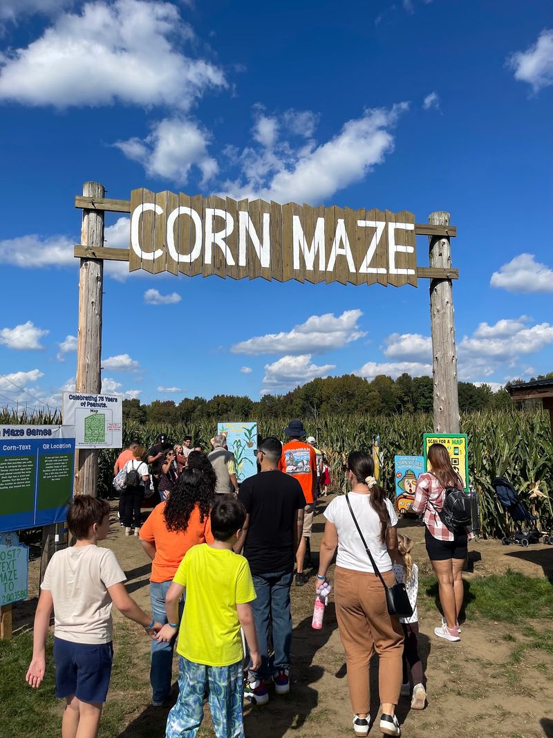 A Corn Maze That Tests Your Sense of Direction A Corn Maze That Tests Your Sense of Direction