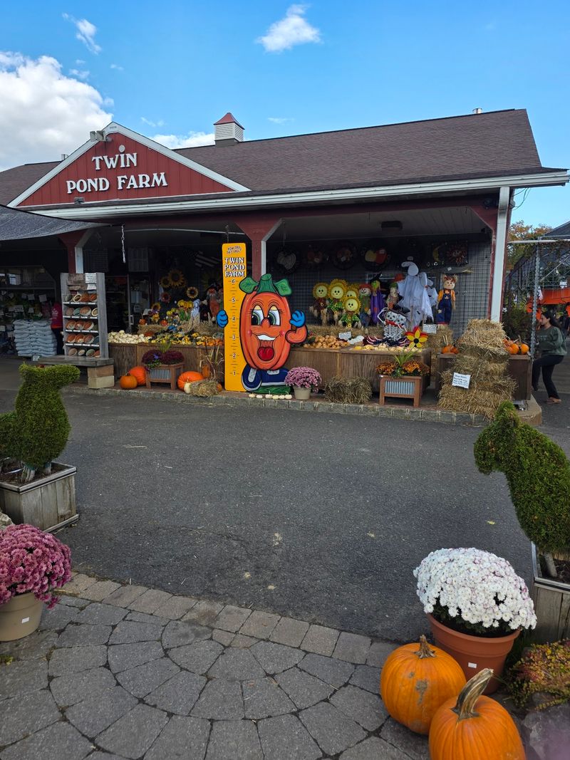 A Country Store With a Big Heart A Country Store With a Big Heart