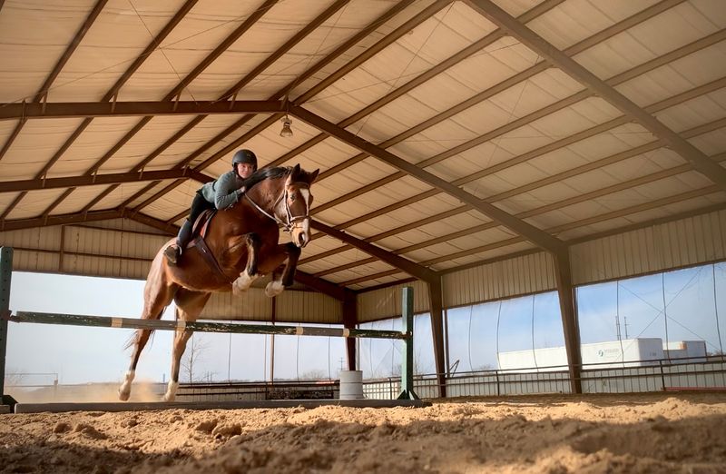 A Covered Arena That Saves Your Plans From The Weather A Covered Arena That Saves Your Plans From The Weather