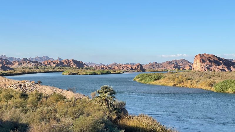 A Desert Oasis Where the River Turns Everything Green
