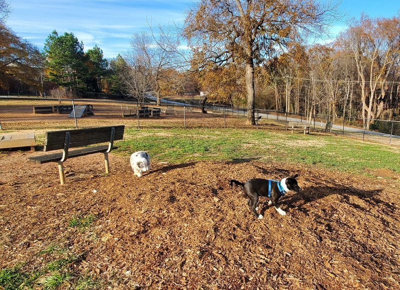 A Dog Park Behind the Ruins