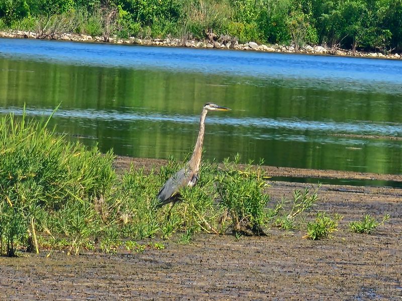 A Driving Tour Made For Spotting Wildlife